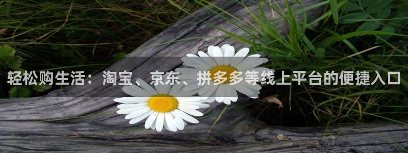 轻松购生活：淘宝、京东、拼多多等线上平台的便捷入口