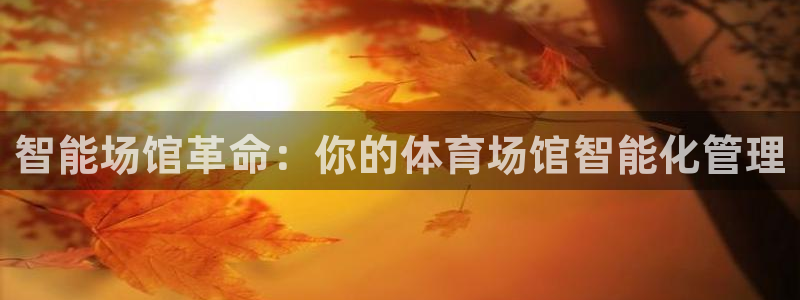 智能场馆革命：你的体育场馆智能化管理