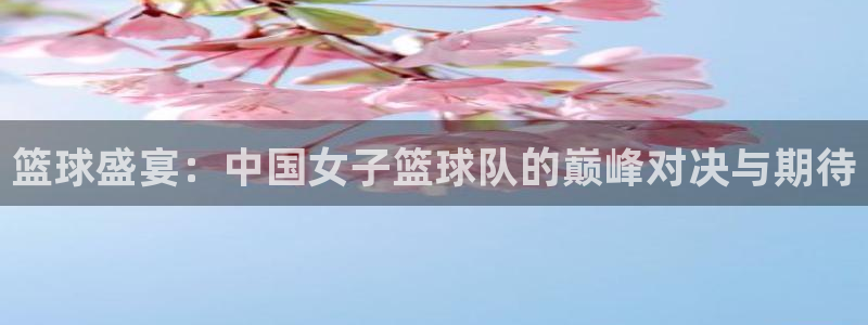 篮球盛宴：中国女子篮球队的巅峰对决与期待