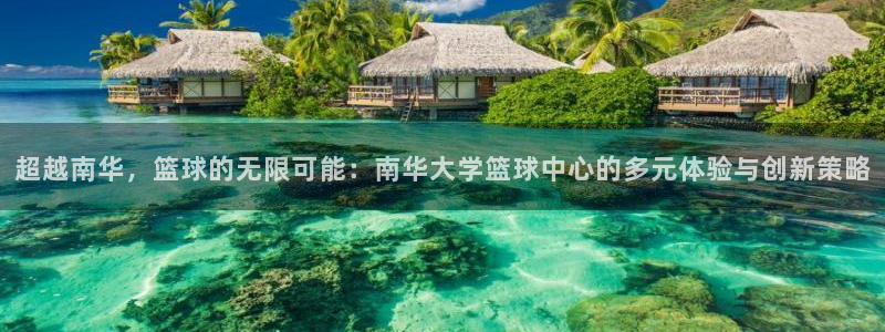 杏耀5：超越南华，篮球的无限可能：南华大学篮球中心的多元体验与创新策略