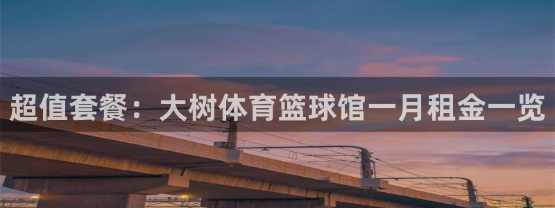 杏耀代理官网：超值套餐：大树体育篮球馆一月租金一览