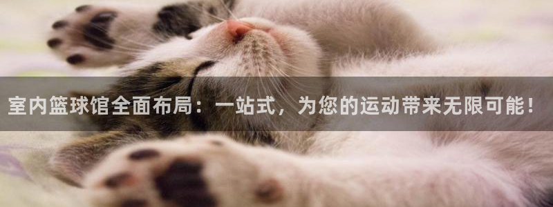 杏耀体育f开号：室内篮球馆全面布局：一站式，为您的运动带来无限可能！
