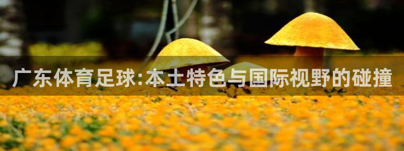 杏耀客服：广东体育足球:本土特色与国际视野的碰撞