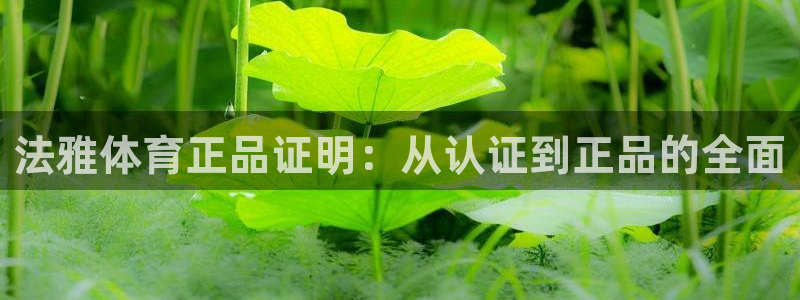 杏耀体育网页版入口：法雅体育正品证明：从认证到正品的全面